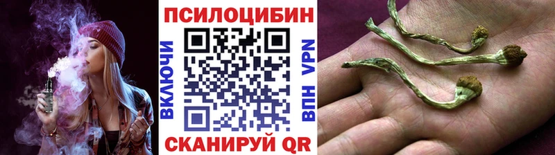 маркетплейс официальный сайт где найти Болхов Галлюциногенные грибы прущие грибы
